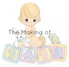 The Making of Baby